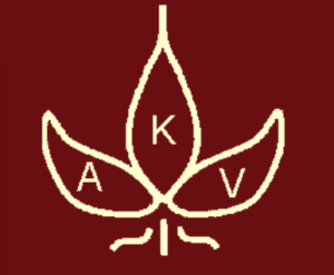 Gruppo di lavoro Vaskulitis